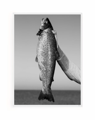 Trout by artist jockum klenell. Limited edition print, signed and numbered.