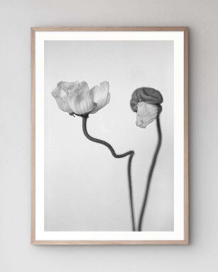 The artwork papaver i mounted in our high-quality wooden frame in oak.